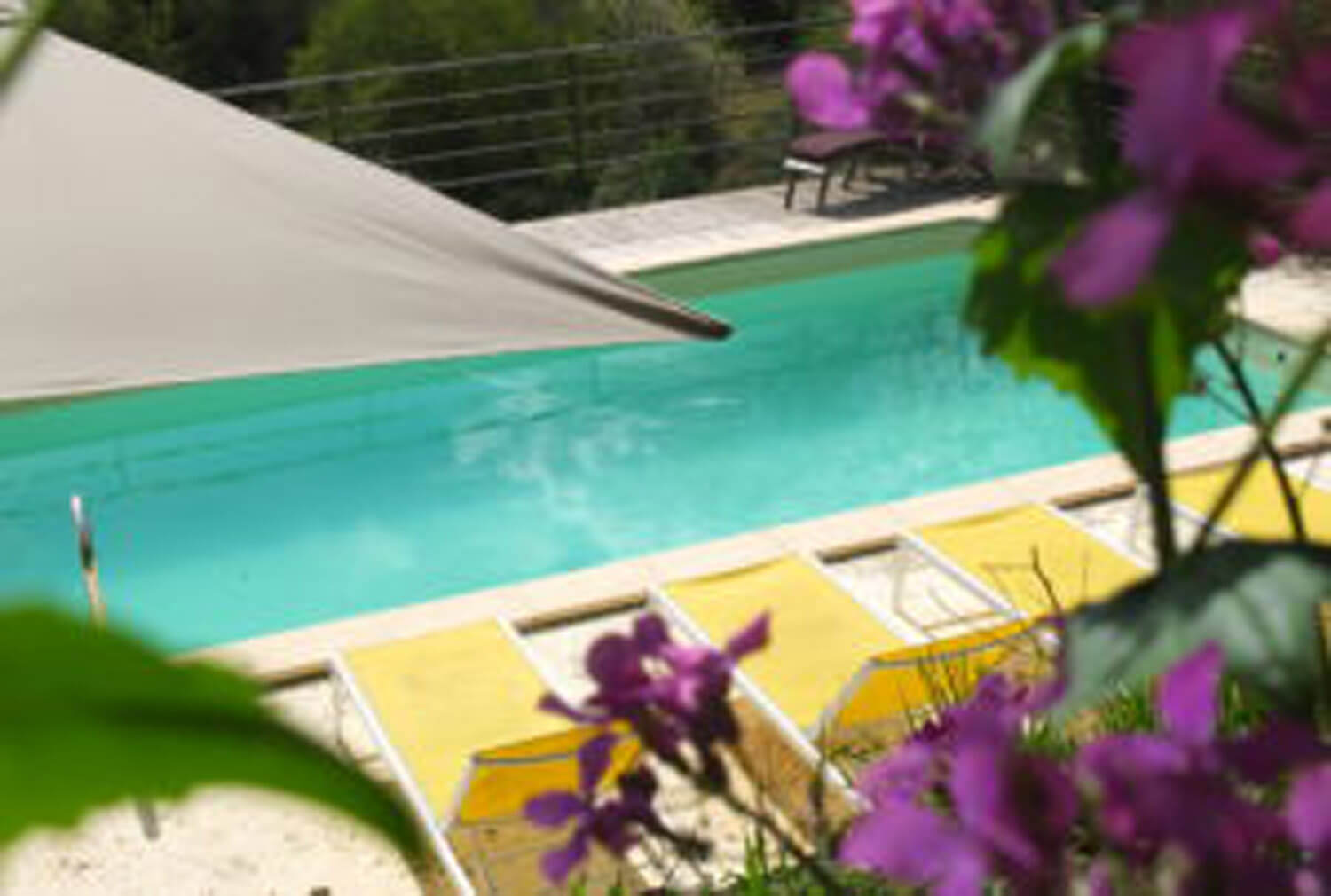 villasoccitanes les Buis piscine 8 m x 4 m plein Sud