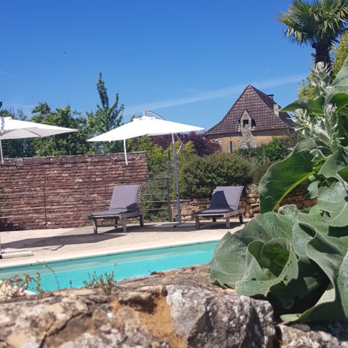 villasoccitanes piscine les palmiers